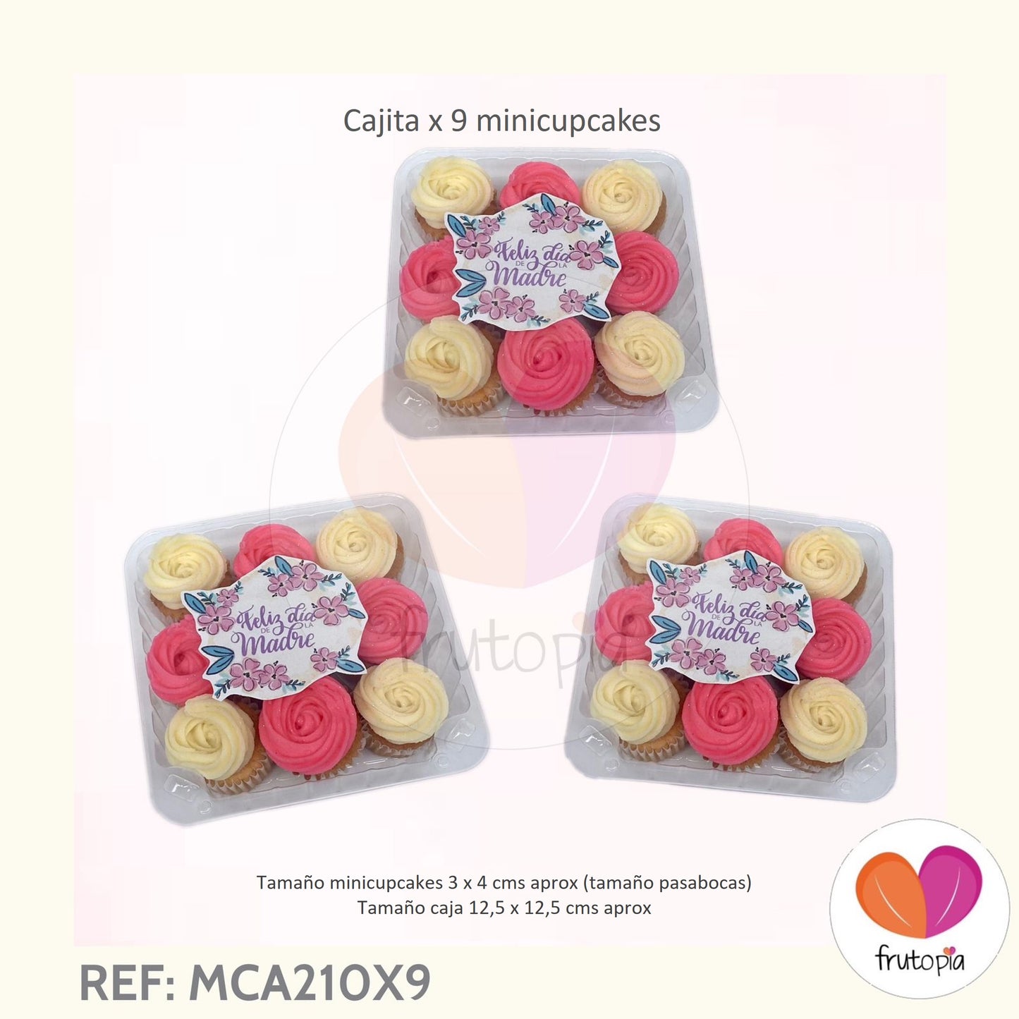 3 cajitas x 9 minicupcakes REF: MCA210X9 FELIZ DIA DE LA MADRE