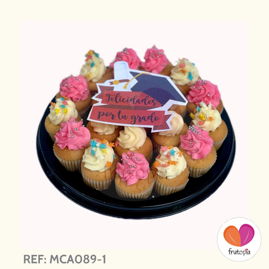 Minicupcakes GRADO REF: MCA089-1