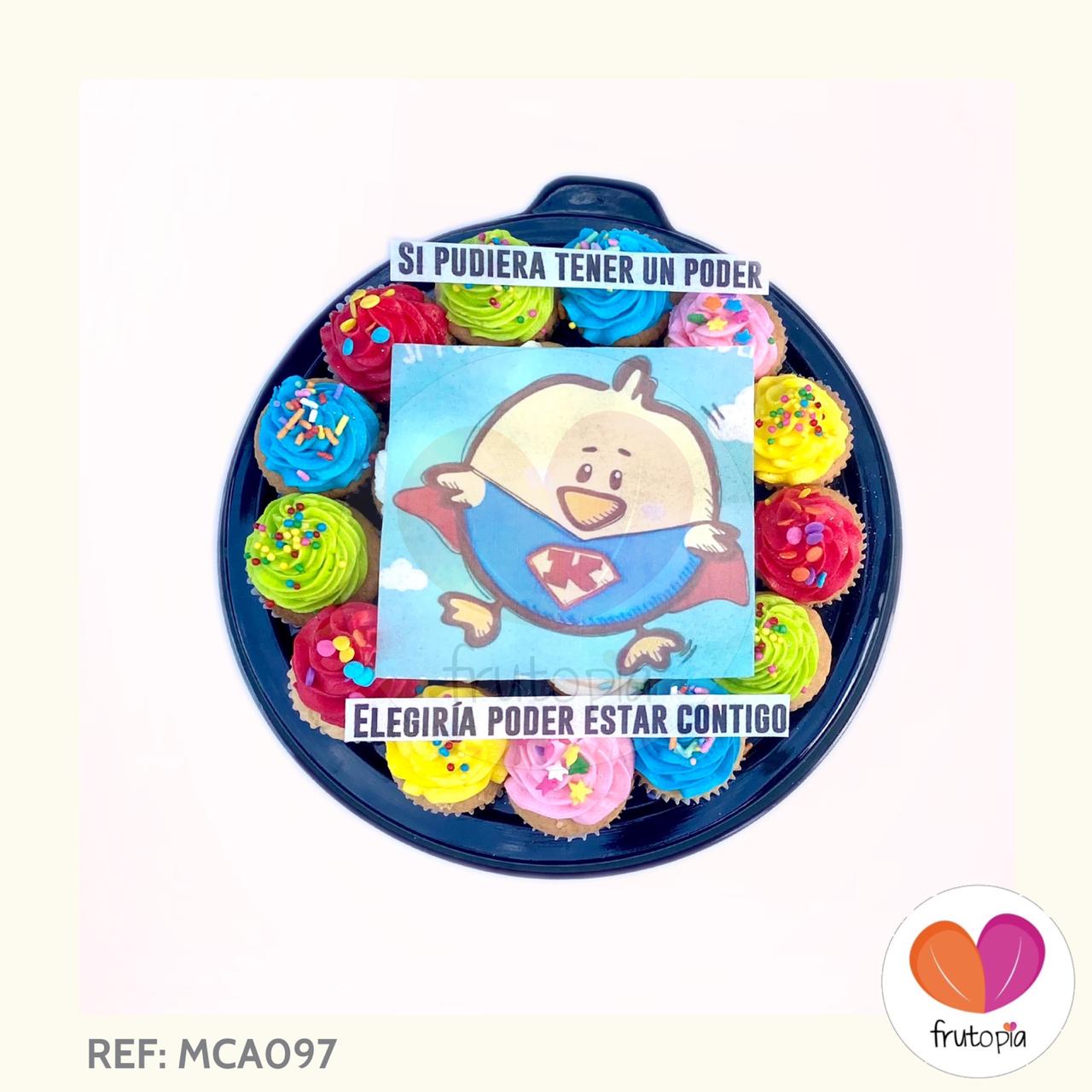 REF: MCA097