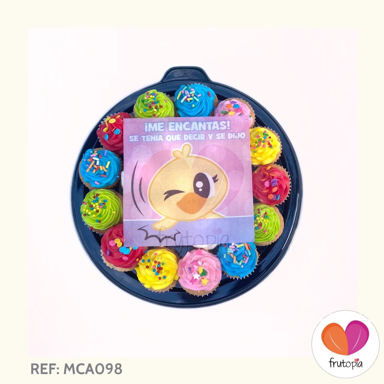 REF: MCA098