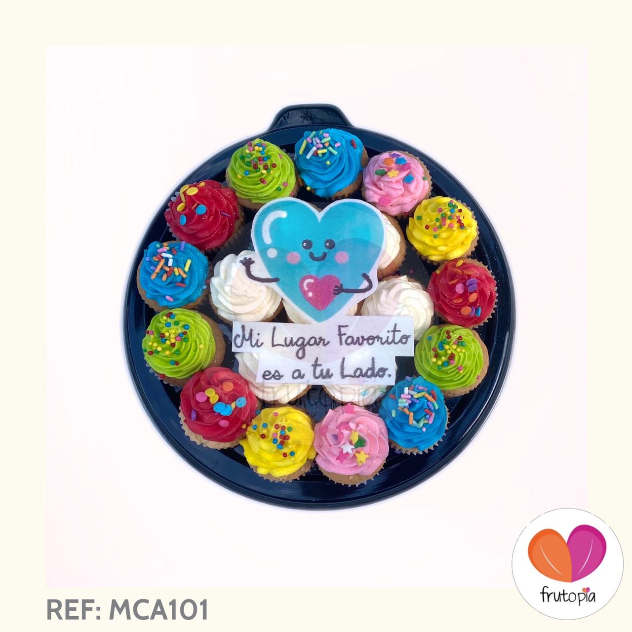 REF: MCA101